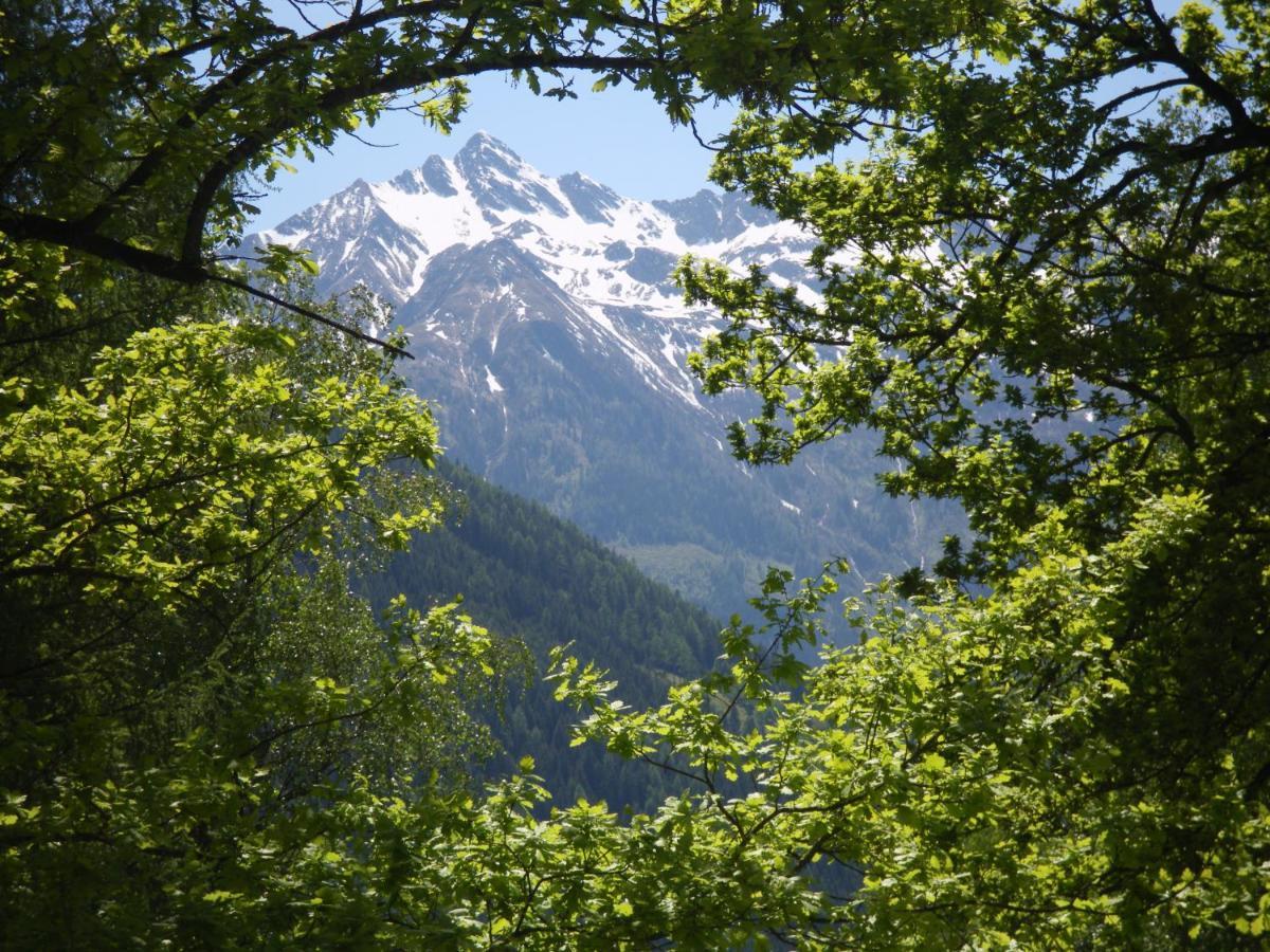 Appart Burgwies Ink Nationalpark Sommercard Stuhlfelden Dış mekan fotoğraf