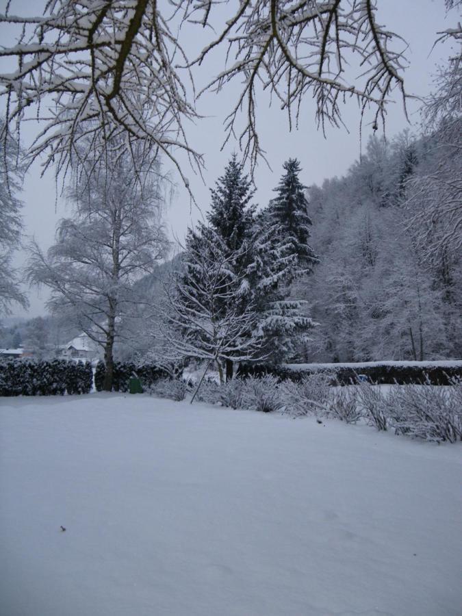 Appart Burgwies Ink Nationalpark Sommercard Stuhlfelden Dış mekan fotoğraf